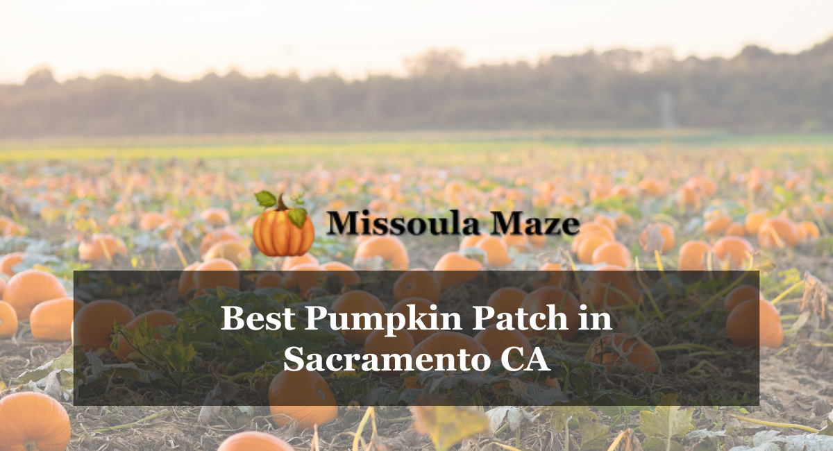 Best Pumpkin Patch in Sacramento CA