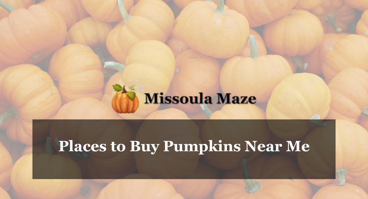 Places to Buy Pumpkins Near Me